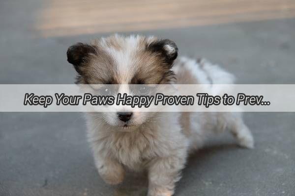 Keep Your Paws Happy Proven Tips to Prevent Inflammation in Your Furry Friend